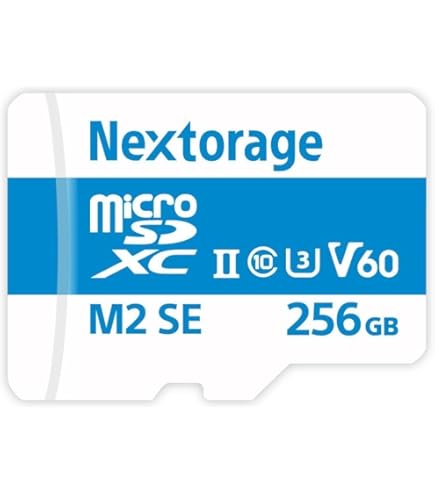 Amazon.com: microSD Card V60 (256GB) - Tested to Work with Full