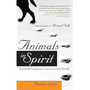 Animals in Spirit: Our faithful companions' transition to the afterlife