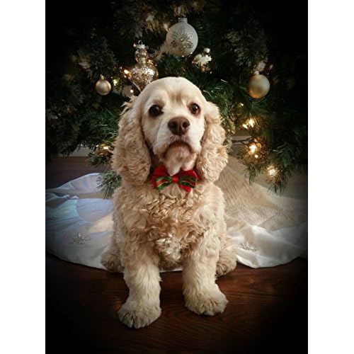 Spoiled Mutt 3 Piece Christmas Bow Ties With Adjustable Collar For