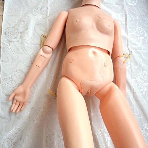 image for FanPeng Demonstration Manikin Anatomical Human Model for Nursing Medic