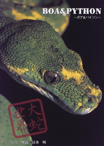 大蛇世界 ボア パイソン Amazon Com Books