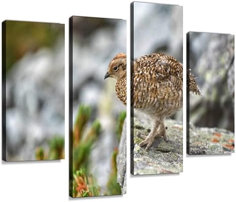 Amazon Co Jp アートパネル 岩場を行き来するライチョウの雛鳥かわいい ひな ひな鳥 ぴよぴよ ガレ場 ゴツゴツ ライチョウ 岩 岩肌 崖 雛 雛鳥 雷鳥 餌場 鳥インテリア 絵画 壁掛け ポスター キャンバス 部屋飾り アート 壁キャンバス 壁飾り 壁キャンバス絵画 おしゃれ
