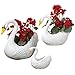 IOTC BR 2831 Brass Swan Planter 2 Piece Set Yard Garden Decor, One Size Fits All, Gold