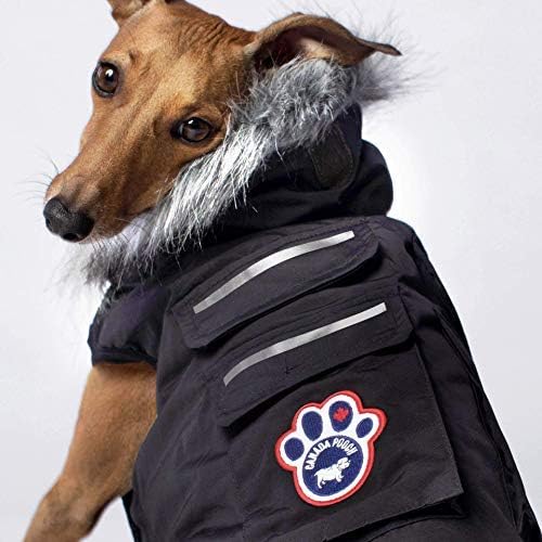 canada pooch everest explorer jacket