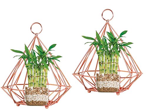 Inspiration World Geometric air Planter Flower pots Tea-lite Hanging Lantern
