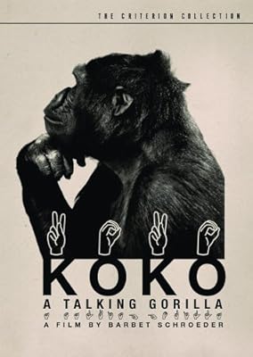 Koko: A Talking Gorilla (The Criterion Collection)