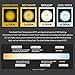 Dimmable 60 Watt Equivalent Candelabra LED Bulbs(UL Listed), LOHAS Daylight White 5000K Decorative Candle Light Bulb Candelabra Base(E12), 120V LED Chandelier Bulb for Home Lighting (6 Pack)