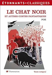 Le  chat noir