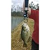 Sportsun-Portable-Fish-Lip-Grabber-Gripper-Tool-Fish-Holder-Stainless-Steel-Fishing-Tackle-up-to-15kg-Color-Black