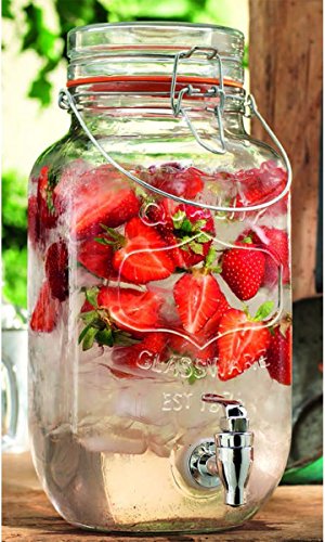 Home Essentials & Beyond 9601 Quality 3.5 L Bail & Trigger Beverage Dispenser, Clear