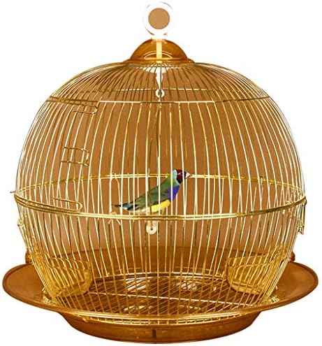 鳥籠 インコ 鳥かご ケージ インコ とりかご 文鳥 手頃な価格のレトロな金色の鳥のケージ エレガントな装飾のオウムのケージ 鳩の真珠の鳥のカナリアケージ 豪華なパッケージ Color Gold C Duanemultimarcas Com Br