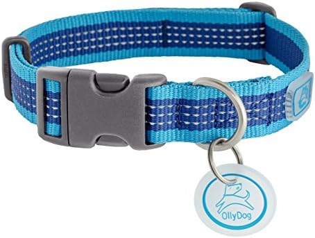 OllyDog MTN Reflective Collar, Medium, Aloha Blue