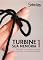 Livro Turbine sua memória 1