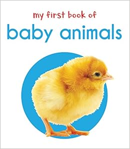 the baby animal book
