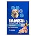 IAMS PROACTIVE HEALTH Large Breed Senior Plus Dry Dog Food 26.2 Pounds