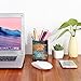 COOLBROS Office Desk Accessories Pu Leather Cover Round Pens Pencils Holder Desk Organizer (world)