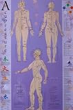 Acupressure Chart - Points & Meridians