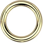 Pierced Owl 12GA-00GA Large Gauge F136 Implant Grade Titanium 12mm Diameter Hinged Segment Clicker Ring