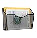 Denozer Mesh Wall File Holder Mount Hanging Organizer Magzine Rack 3 Pack Single Pocket,Black