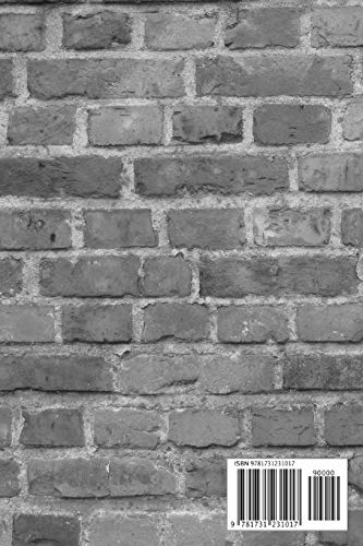 Auch Erzieher brauchen mal Notizen: Erziehung Erzieherin Kindergarten Kindertagesstätte Notizbuch Kinder Kleinkinder Krippenkinder (German Edition)