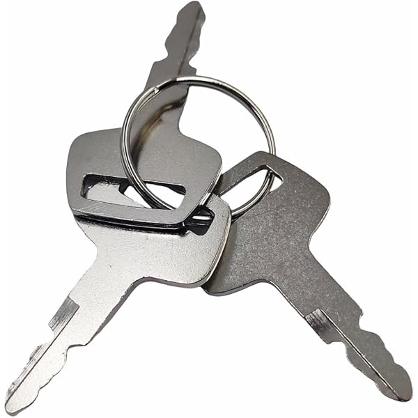 Amazon.com: MT40266850 CNH Genuine OEM Key, Ignition : Automotive 