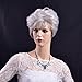 Women Wigs Gray Short Curly Natural Heat Resistant Synthetic Hair Wigs 10 Inch for Old Women Elderly Ladies