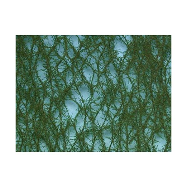 Silhouettes Sommer spruce-36 X 15 cm-73220, grün