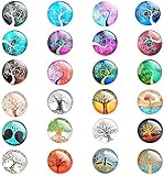 24 Pieces Beautiful Glass Refrigerator