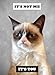 Grumpy Cat: A Grumpy Book for Grumpy Days