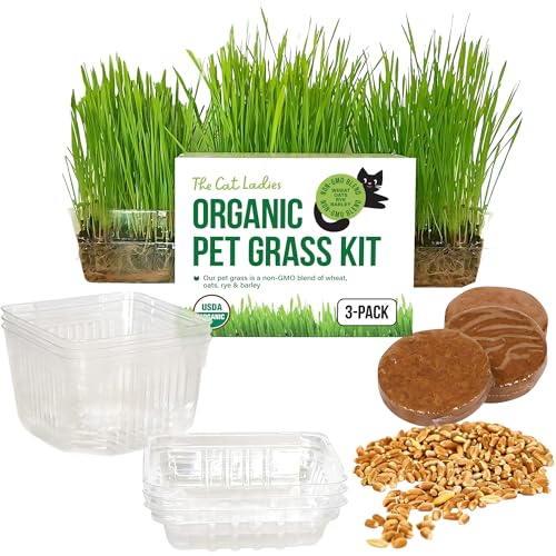 The Cat Ladies Cat Grass Kit