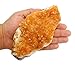 1 (One) Citrine Cluster - Citrine Cluster 1-2 lb Power Stone- Rock Paradise Exclusive COA (AMC1A)
