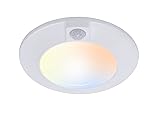 CLOUDY BAY 5 Color Motion Sensor Ceiling
