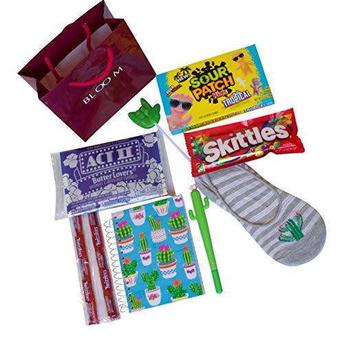 Nurse Gifts for Women Includes an ASL I Love You Sucker, Mini Cactus Notebook, Cacti Pen, Cactus Socks and Sweet and Savory Snacks