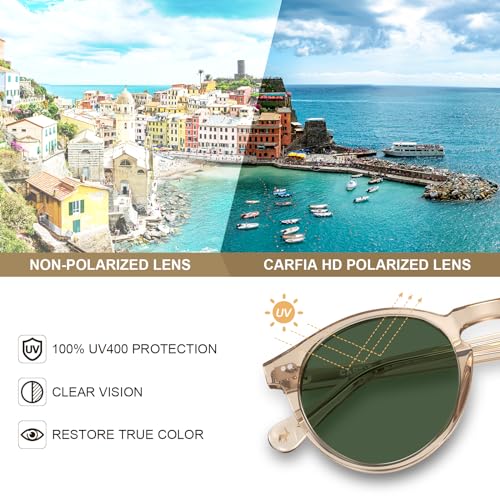 CARFIA Mens Polarized Sunglasses Vintage UV400 Protection Driving Travel Sunglasses CA5289