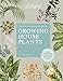 The Kew Gardener's Guide to Growing House Plants: The art and science to grow your own house plants (Kew Experts) by 