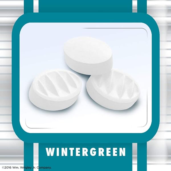 ALTOIDS ARCTIC WINTERGREEN BREATH MINTS SUGAR FREE HARD CANDY BULK, 1.2 OZ TIN (8 PACK)