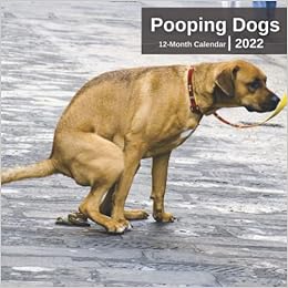Dogs Pooping 2022 Calendar: Funny Pooches Answering Nature's Call For Dog  Lovers | Joke, White Elephant, Gag, Gift, Secret Santa, Christmas Stocking  Filler: Publications, Auraq: 9798497730661: Amazon.com: Books
