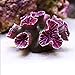 Danmu 1pc of Polyresin Coral Ornaments, Aquarium Coral Decor 3 9/10″ x 3 1/2″ x 2″ for Fish Tank Aquarium Decorationthumb 2