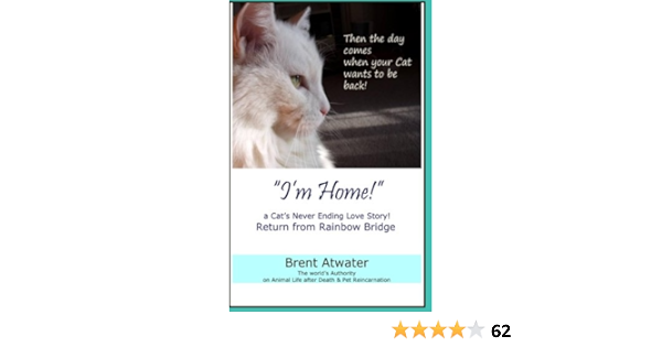 I M Home A Cat S Never Ending Love Story Pets Past Lives Animal Reincarnation Animal Communication Animals Soul Contracts Animals Afterlife Animals Spirits Atwater Brent Amazon Com Books