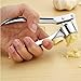 TRIXES Steel Garlic Press Ginger Mincer Kitchen Equipment Utensil Gadget