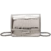 Metallic Evening Mini Silver Purse, Crossbody Bags for Women Y2K Glitter Clutch Handbag for Nightclub Parties