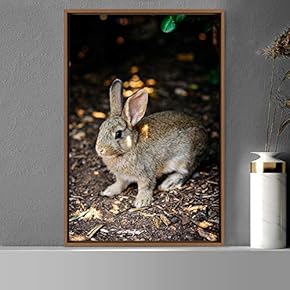 signwin Framed Canvas Wall Art Bunny Animals Bedroom...