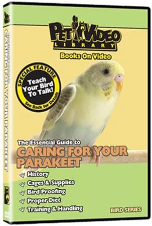 PARAKEET ! + Train your Bird to Talk Bonus Video