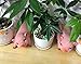 Agirlgle Animal Garden Statue - Cute Pig - Funny Outdoor Sculpture Resin Lawn Ornaments Decor - Best Indoor Outdoor Figurines for Patio Yard and House