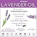 artnaturals 100% Pure Lavender Essential Oil - (.5 Fl Oz / 15ml) - Premium Undiluted Therapeutic Grade Natural from Bulgaria - Aromatherapy for Diffuser