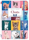 Mon petit agenda Chats 2018 by