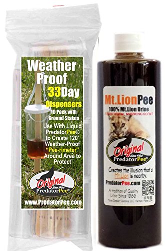 PredatorPee - 100% Pure Mountain Lion Urine - 12oz Squeeze Bottle Combo with 33 Day Dispensers