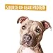 Natural Rapport Beef Trachea Dog Treats - The Only Beef Trachea Chews Dogs Need - All Natural Dog Treats for Small and Large Dogs (3 Chews)