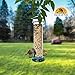 V2 Tube Bird Feeder for Outside, Weather Proof, Hanging, Easy to Setup, Durable, Tube Bird Feeder for Outdoors, Wild Bird Feeder for Outdoors and for Backyard Decoration, July 4th Gift