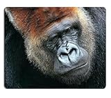 Gorilla bonobo chimpanzeewildlife animals Mouse Pads Customized Made to Order Support Ready 9 7/8 Inch (250mm) X 7 7/8 Inch (200mm) X 1/16 Inch (2mm) High Quality Eco Friendly Cloth with Neoprene Rubber Liil Mouse Pad Desktop Mousepad Laptop Mousepads Comfortable Computer Mouse Mat Cute Gaming Mouse pad